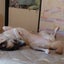あっちのサムネイル
