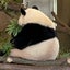 まみコのサムネイル