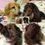 画像 Wonderful lifeのユーザープロフィール画像