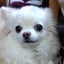 ミンちゃんのサムネイル