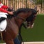 画像 『ひとつでも多くの勝利を！』オレンジの一口馬主奮闘記のユーザープロフィール画像