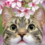 猫花のサムネイル