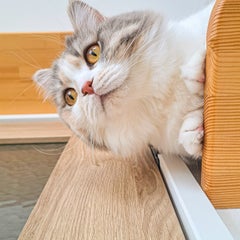 みこのプロフィール
