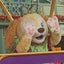 ディズニーきろくのサムネイル