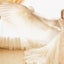 画像 haveyourbackのブログのユーザープロフィール画像