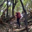 teamnature3776のサムネイル