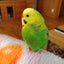 nanaのサムネイル