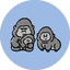 レイリのサムネイル