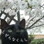 natural life! しぜんなくらしのサムネイル