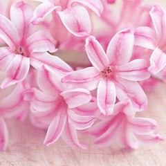 lovely-smile-nanaのプロフィール