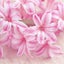 lovely-smile-nanaのサムネイル