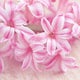 lovely-smile-nanaのおすすめのサムネイル