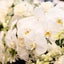 画像 わたしに起きたことのユーザープロフィール画像