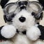 画像 日々のあれこれのユーザープロフィール画像