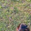 家族大好きママのサムネイル