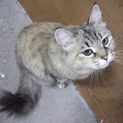ゆきのプロフィール