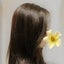 画像 allo-21のブログのユーザープロフィール画像