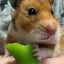 watermelon5656bt2のサムネイル