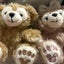 ｓａｚａｎａｍｉのサムネイル