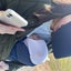 はるそののサムネイル