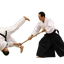 養神館合気道海琉 Yoshinkan Aikido Kairyuのサムネイル