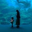 画像 ひふみのブログのユーザープロフィール画像