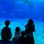 ４姉弟ママのサムネイル