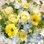 White rose☆なおこのサムネイル