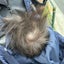 ちーたのサムネイル