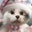 ☆6猫とのぶママのほんわからいふ☆