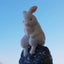 小森 夕生〔ﾕｳ〕のサムネイル
