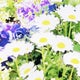 ぷーさんの節約ブログのおすすめのサムネイル