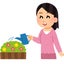 KOTOのサムネイル