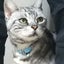 画像 ふーちゃんの日記のユーザープロフィール画像