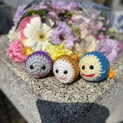 めーのおすすめのサムネイル