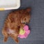 jolie-fleur0524のサムネイル