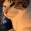 サトシのサムネイル