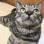画像 乳がんの記録&日々のあれこれのユーザープロフィール画像