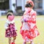 ilily-luluのサムネイル