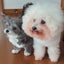 画像 モココのユーザープロフィール画像