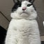 GeGeのサムネイル