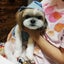 doglifeのサムネイル
