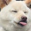 マオ兄♪のサムネイル