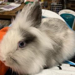 TAKIのプロフィール