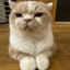 Emmaのサムネイル
