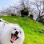 まつりんのサムネイル