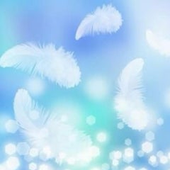 chiffon♪のプロフィール