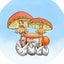 山野きのこのサムネイル