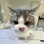 オリちゃんのサムネイル