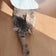 catcherinthesighの部屋